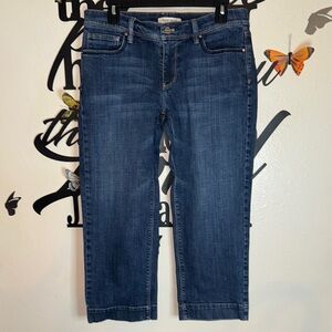 WHITE HOUSE BLACK MARKET 
Women's Blue Jeans
